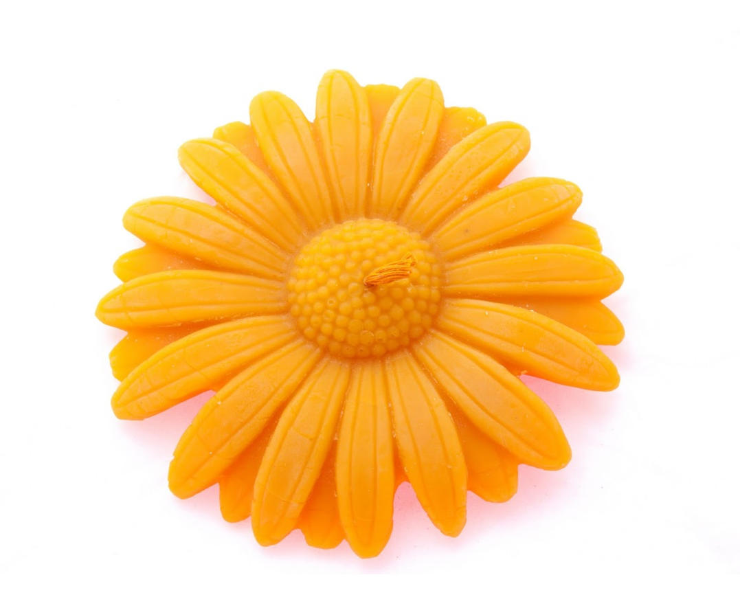 Георгин большой